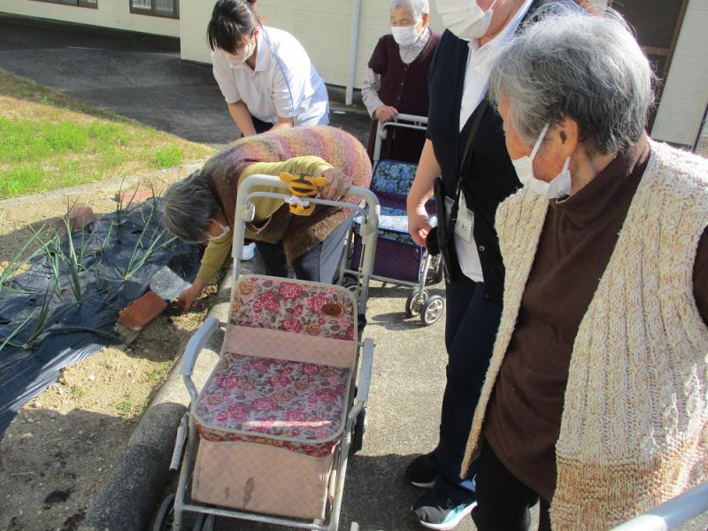 2���@�f�C�T�[�r�X�̊���